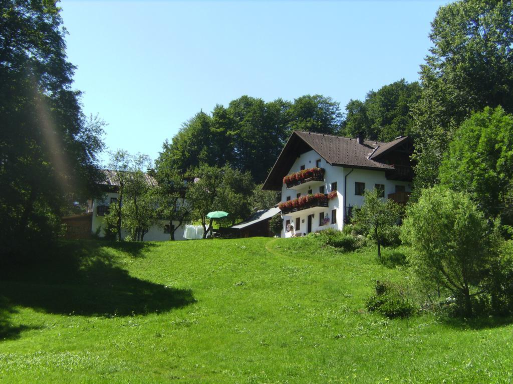 Вилла Bauernhof Familie Knoblechner Нусдорф-ам-Аттерзее Номер фото